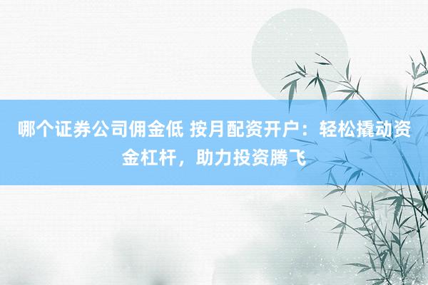 哪个证券公司佣金低 按月配资开户：轻松撬动资金杠杆，助力投资腾飞