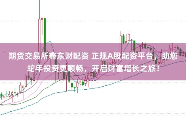 期货交易所鑫东财配资 正规A股配资平台,助您蛇年投资更顺畅,开启财富增长之旅!