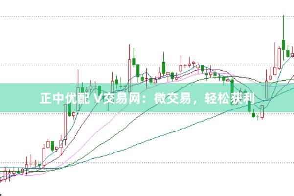 正中优配 V交易网：微交易，轻松获利