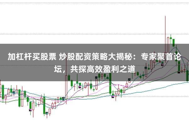 加杠杆买股票 炒股配资策略大揭秘：专家聚首论坛，共探高效盈利之道