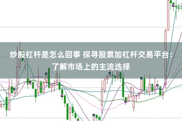 炒股杠杆是怎么回事 探寻股票加杠杆交易平台：了解市场上的主流选择
