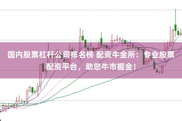 国内股票杠杆公司排名榜 配资牛金所：专业股票配资平台，助您牛市掘金！
