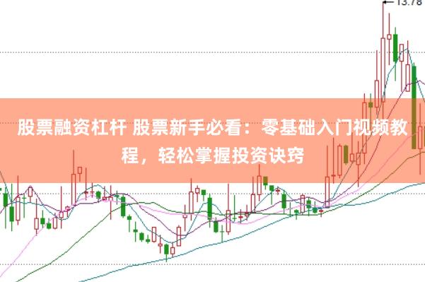 股票融资杠杆 股票新手必看：零基础入门视频教程，轻松掌握投资诀窍