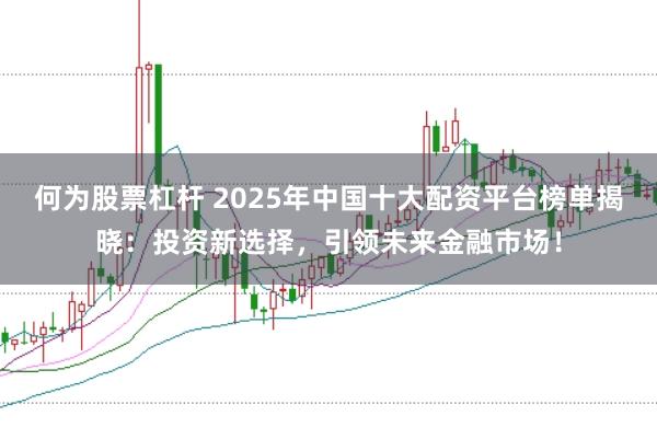 何为股票杠杆 2025年中国十大配资平台榜单揭晓：投资新选择，引领未来金融市场！
