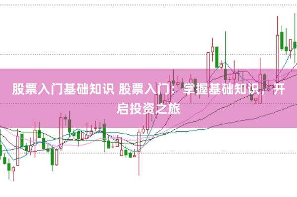 股票入门基础知识 股票入门：掌握基础知识，开启投资之旅