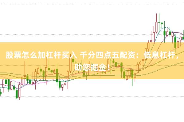 股票怎么加杠杆买入 千分四点五配资：低息杠杆，助您掘金！