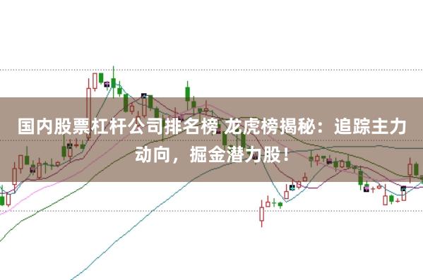 国内股票杠杆公司排名榜 龙虎榜揭秘：追踪主力动向，掘金潜力股！