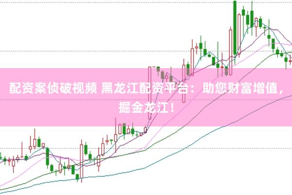 配资案侦破视频 黑龙江配资平台：助您财富增值，掘金龙江！