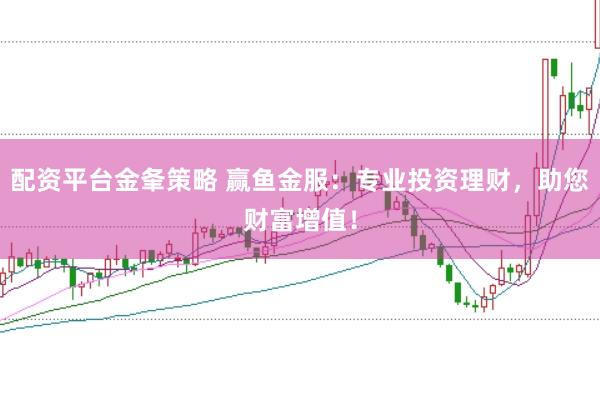 配资平台金夆策略 赢鱼金服：专业投资理财，助您财富增值！