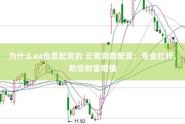为什么aa也是配资的 云南润鼎配资：专业杠杆，助您财富增值