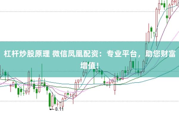 杠杆炒股原理 微信凤凰配资：专业平台，助您财富增值！