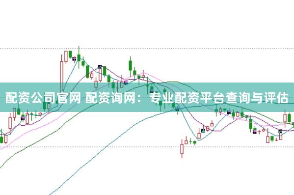 配资公司官网 配资询网：专业配资平台查询与评估