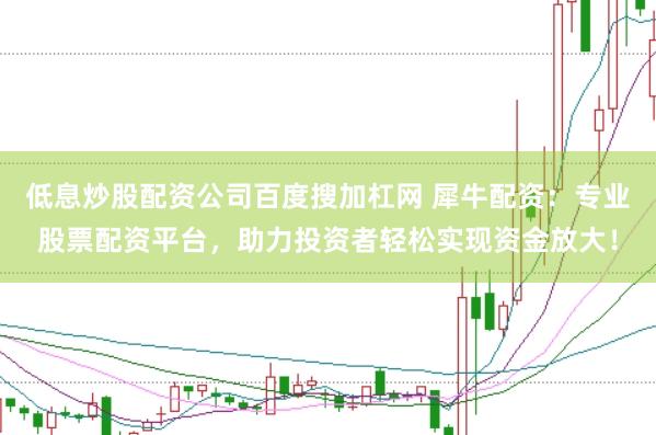 低息炒股配资公司百度搜加杠网 犀牛配资：专业股票配资平台，助力投资者轻松实现资金放大！