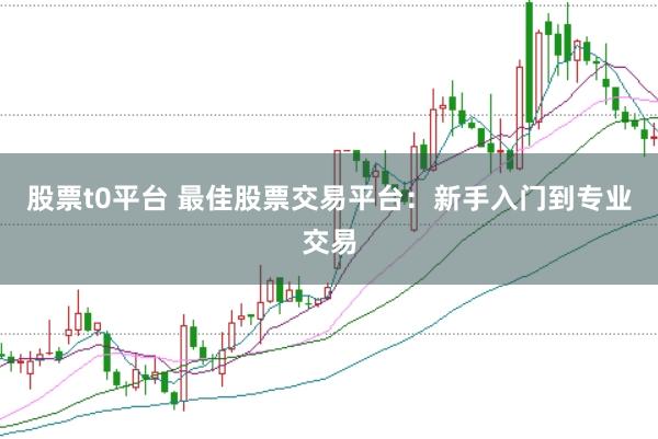 股票t0平台 最佳股票交易平台：新手入门到专业交易