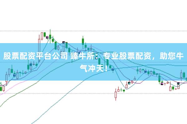 股票配资平台公司 臻牛所：专业股票配资，助您牛气冲天！