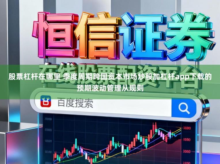 股票杠杆在哪里 季度周期跨国资本市场炒股加杠杆app下载的预期波动管理从规则