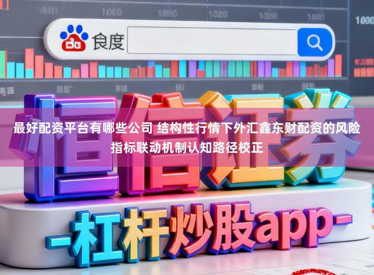 最好配资平台有哪些公司 结构性行情下外汇鑫东财配资的风险指标联动机制认知路径校正