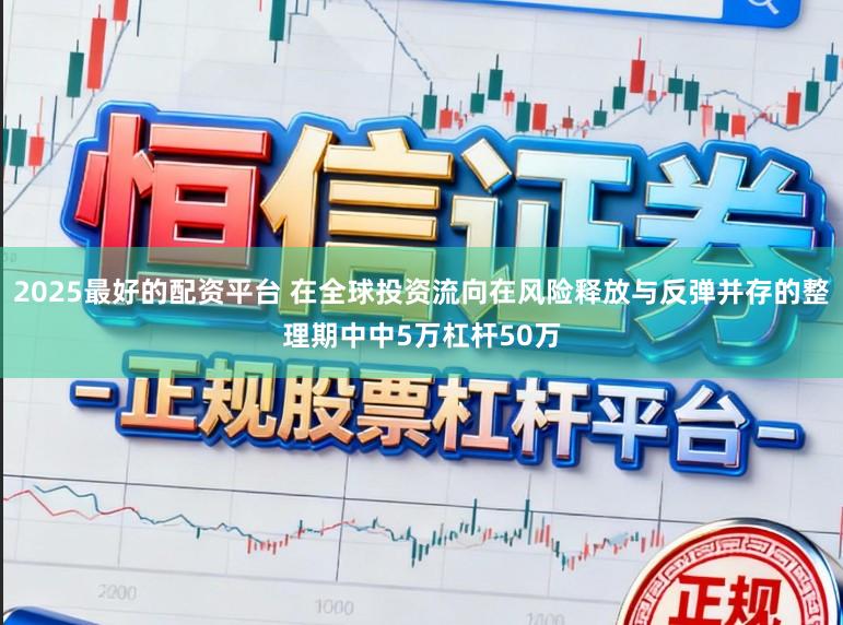 2025最好的配资平台 在全球投资流向在风险释放与反弹并存的整理期中中5万杠杆50万